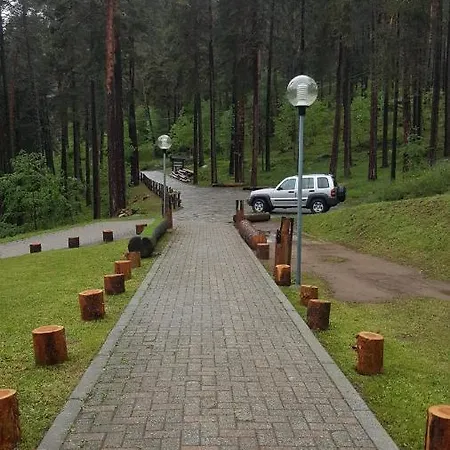 Hotel La Della Pineta *