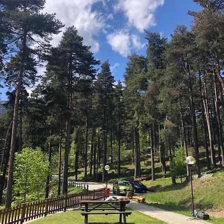 La Della Pineta