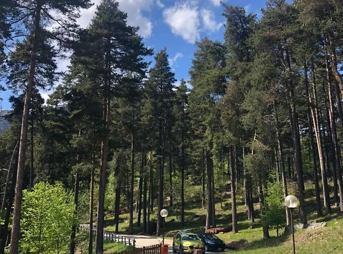 La Della Pineta
